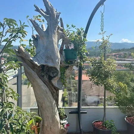 407 Elegant Lejlighed Vrnjačka Banja