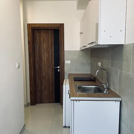 407 Elegant Vrnjacka Banja